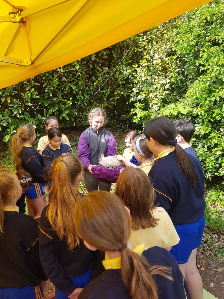 This image has an empty alt attribute; its file name is 20220513_103936-768x1024.jpg