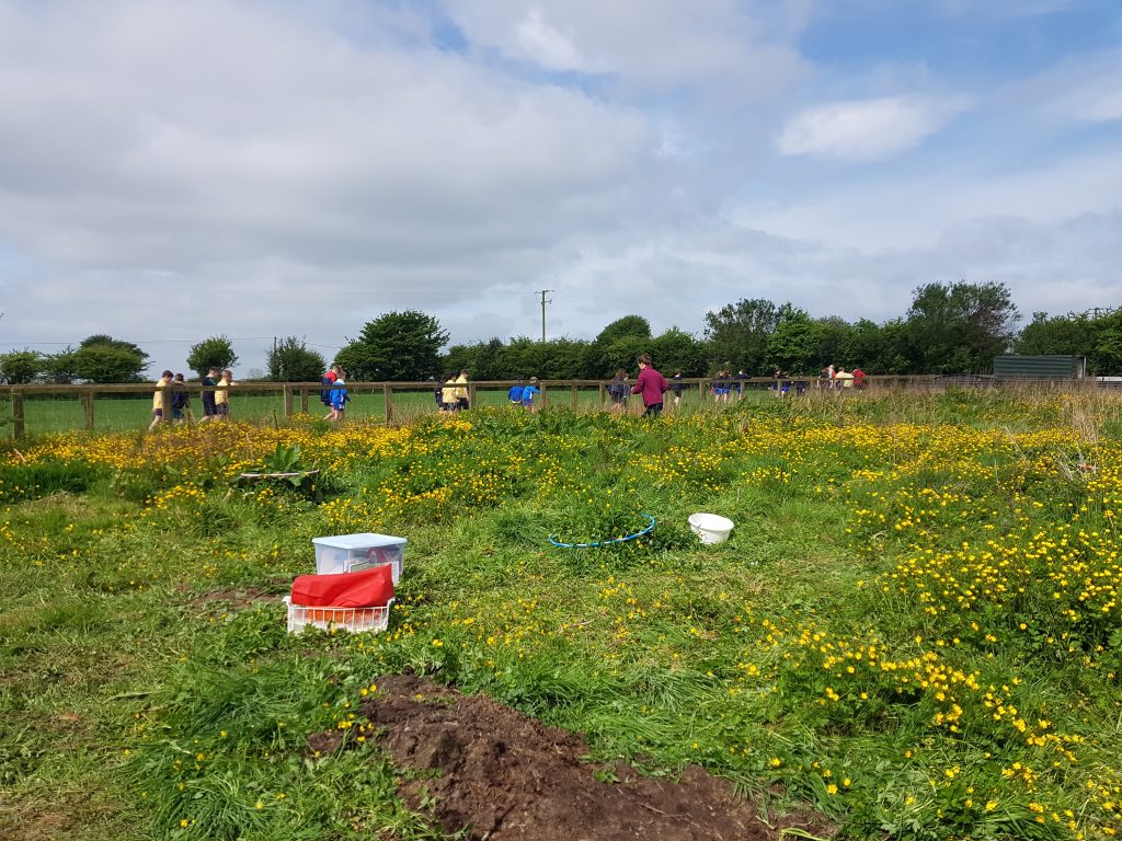 This image has an empty alt attribute; its file name is 20220513_105136-1024x768.jpg