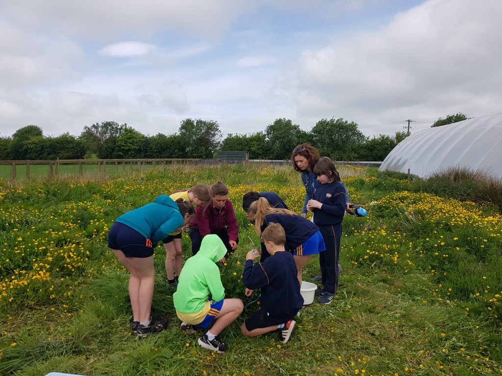 This image has an empty alt attribute; its file name is 20220513_110013-1024x768.jpg