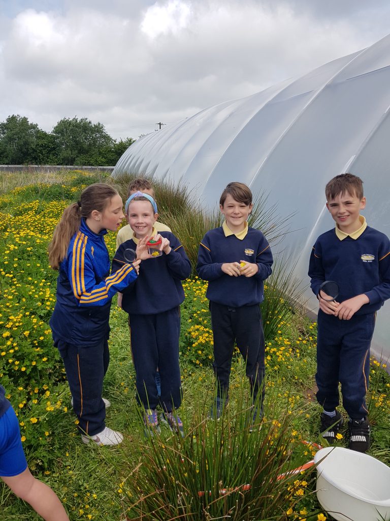 This image has an empty alt attribute; its file name is 20220513_110606-768x1024.jpg