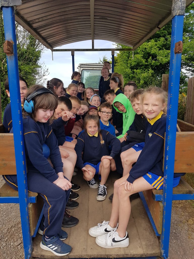 This image has an empty alt attribute; its file name is 20220513_113421-768x1024.jpg