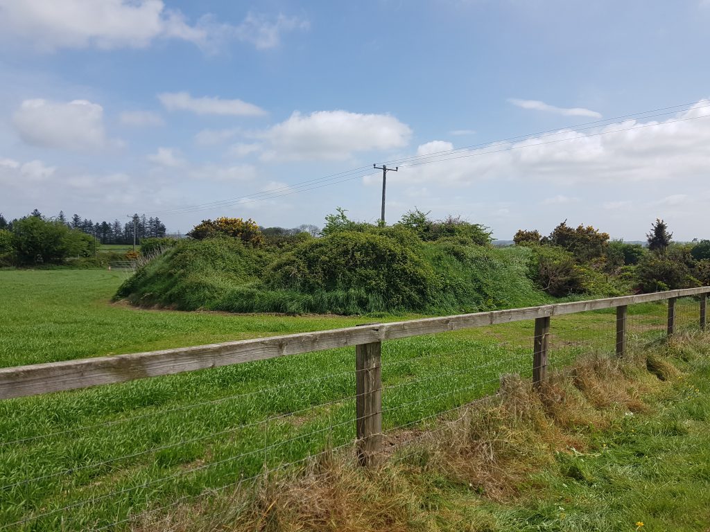 This image has an empty alt attribute; its file name is 20220513_115023-1024x768.jpg